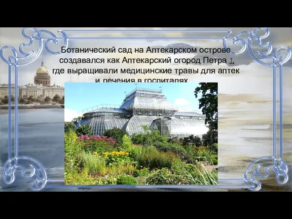 Ботанический сад на Аптекарском острове создавался как Аптекарский огород Петра I, где выращивали