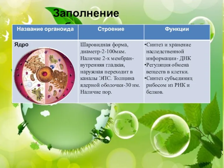 СТРОЕНИЕ КЛЕТКИ КЛЕТОЧНАЯ МЕМБРАНА. ЯДРО ). ). ). Заполнение таблицы