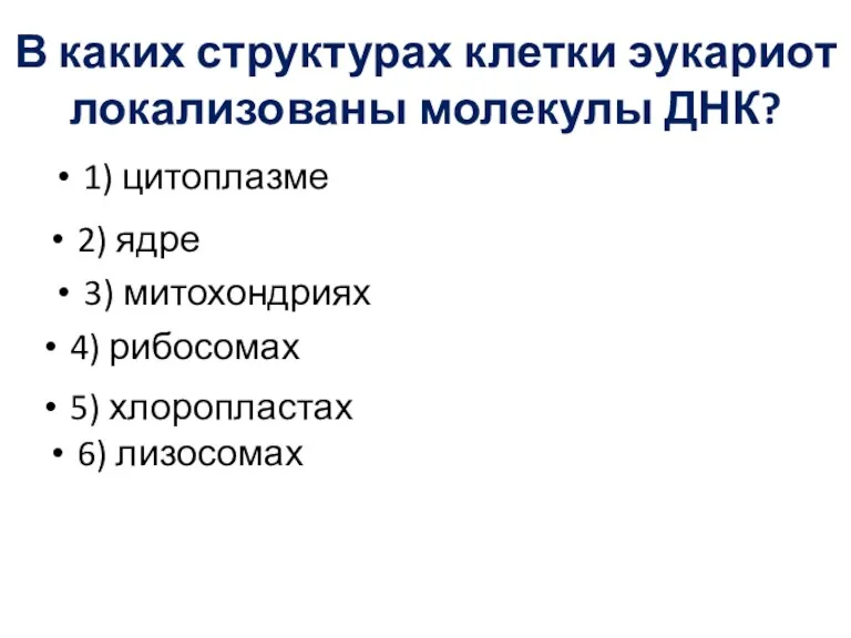 В каких структурах клетки эукариот локализованы молекулы ДНК? 1) цитоплазме 6) лизосомах 5)