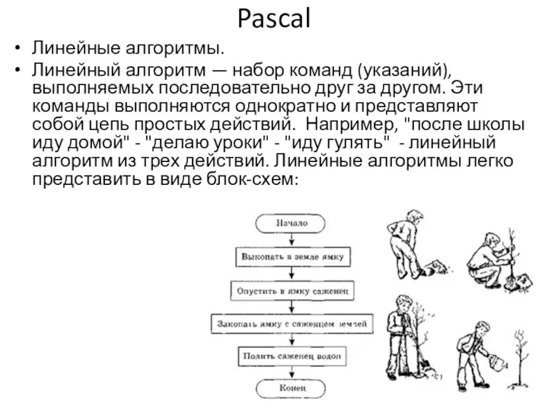 Pascal Линейные алгоритмы. Линейный алгоритм — набор команд (указаний), выполняемых