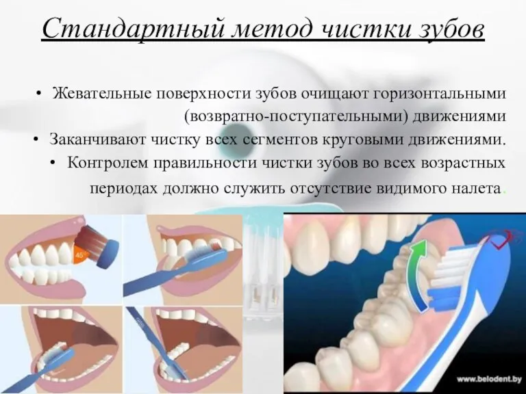 Стандартный метод чистки зубов Жевательные поверхности зубов очищают горизонтальными (возвратно-поступательными)