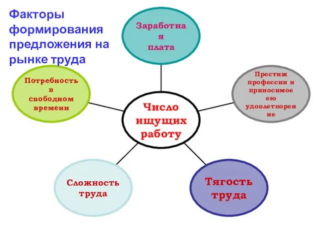 Факторы формирования предложения на рынке труда