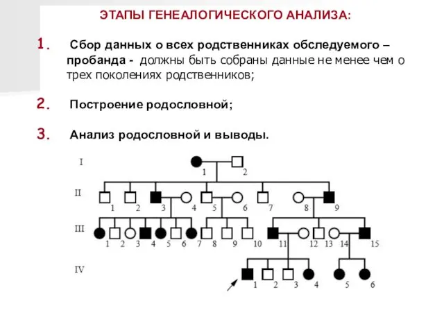 ЭТАПЫ ГЕНЕАЛОГИЧЕСКОГО АНАЛИЗА: Сбор данных о всех родственниках обследуемого –