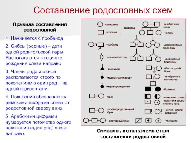 Составление родословных схем Правила составления родословной 1. Начинается с пробанда.