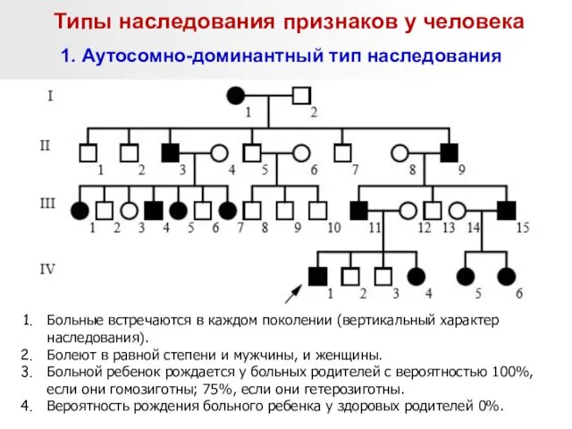 Типы наследования признаков у человека 1. Аутосомно-доминантный тип наследования Больные