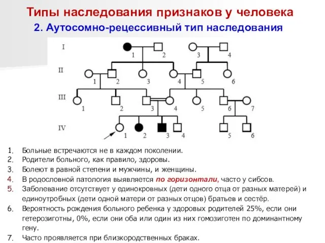 Типы наследования признаков у человека 2. Аутосомно-рецессивный тип наследования Больные