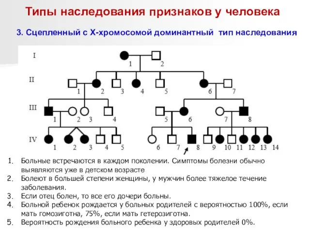 Типы наследования признаков у человека 3. Сцепленный с Х-хромосомой доминантный