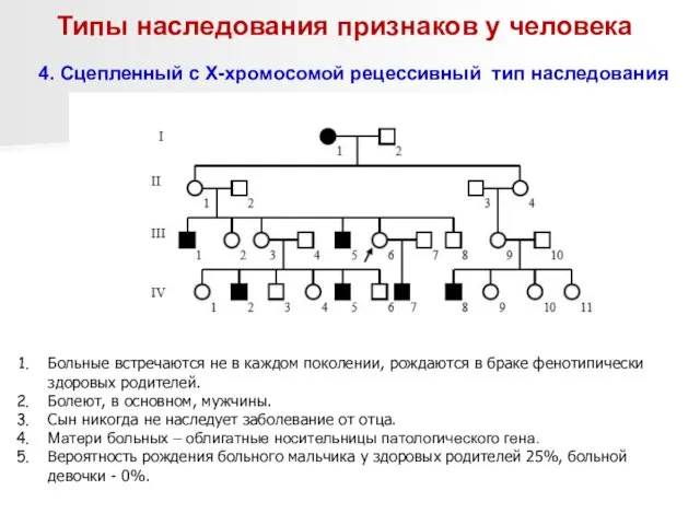 Типы наследования признаков у человека 4. Сцепленный с Х-хромосомой рецессивный