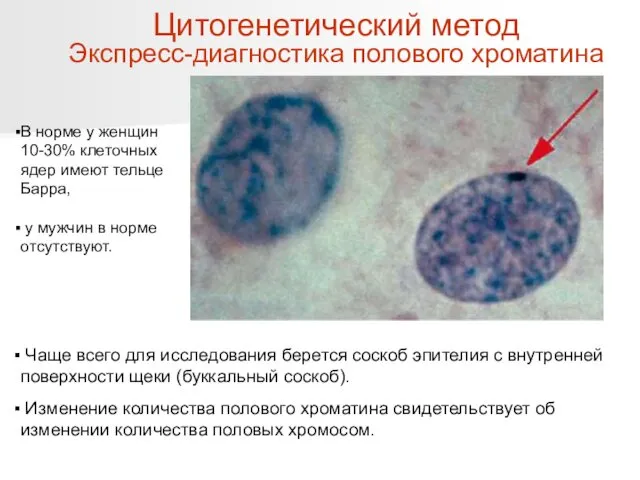 Чаще всего для исследования берется соскоб эпителия с внутренней поверхности