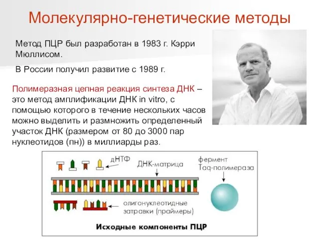 Метод ПЦР был разработан в 1983 г. Кэрри Мюллисом. В