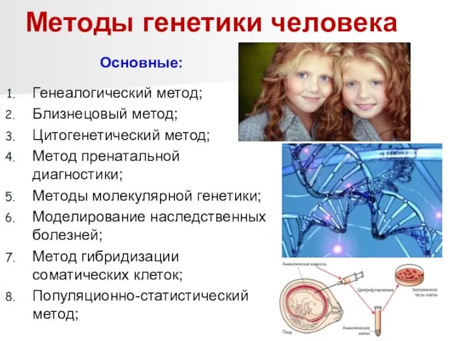 Методы генетики человека Основные: Генеалогический метод; Близнецовый метод; Цитогенетический метод;