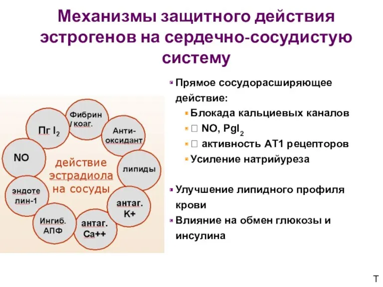 Механизмы защитного действия эстрогенов на сердечно-сосудистую систему Прямое сосудорасширяющее действие: