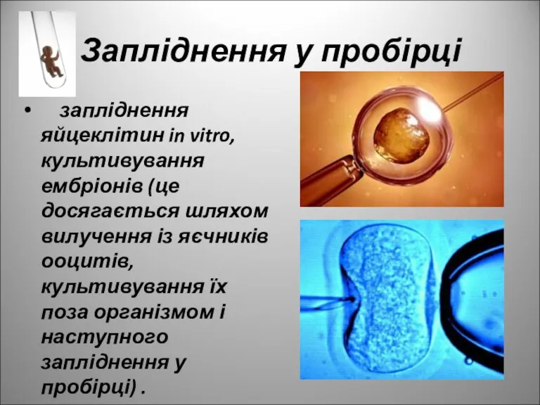 Запліднення у пробірці запліднення яйцеклітин in vitro, культивування ембріонів (це