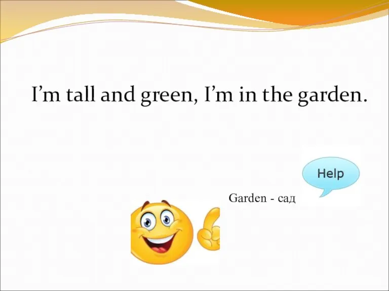I’m tall and green, I’m in the garden. Garden - сад