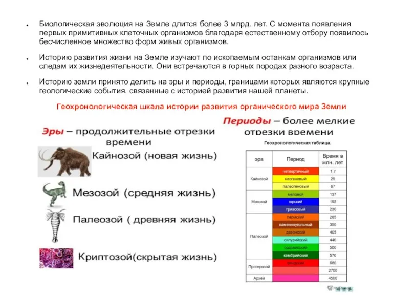 Биологическая эволюция на Земле длится более 3 млрд. лет. С