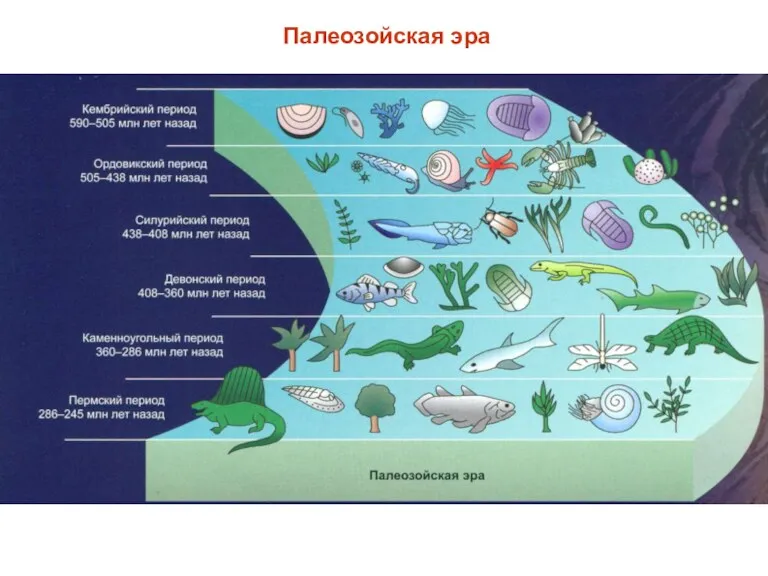 Палеозойская эра