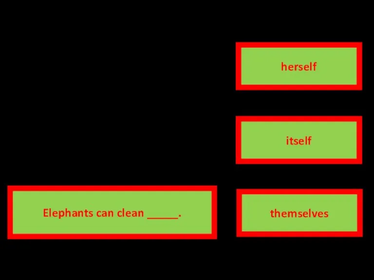 correct answer transparent itself herself themselves Elephants can clean _____. Wrong answer transparent Wrong answer transparent