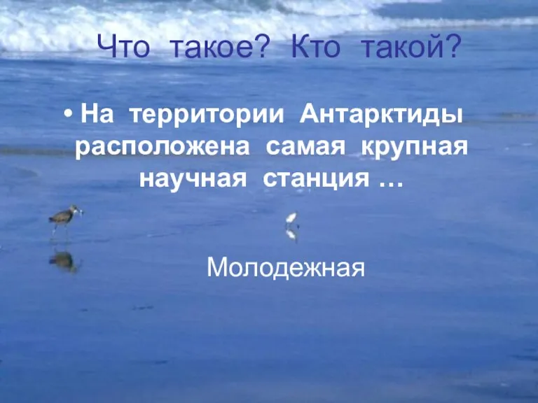 На территории Антарктиды расположена самая крупная научная станция … Молодежная Что такое? Кто такой?