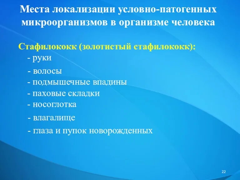 Места локализации условно-патогенных микроорганизмов в организме человека Стафилококк (золотистый стафилококк):