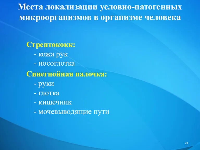 Стрептококк: - кожа рук - носоглотка Синегнойная палочка: - руки