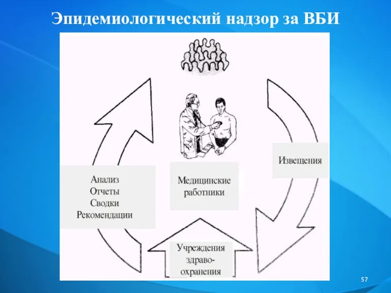 Эпидемиологический надзор за ВБИ