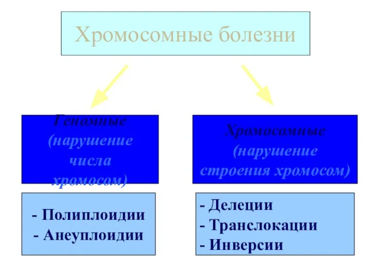 Геномные (нарушение числа хромосом) Хромосомные болезни Хромосомные (нарушение строения хромосом)