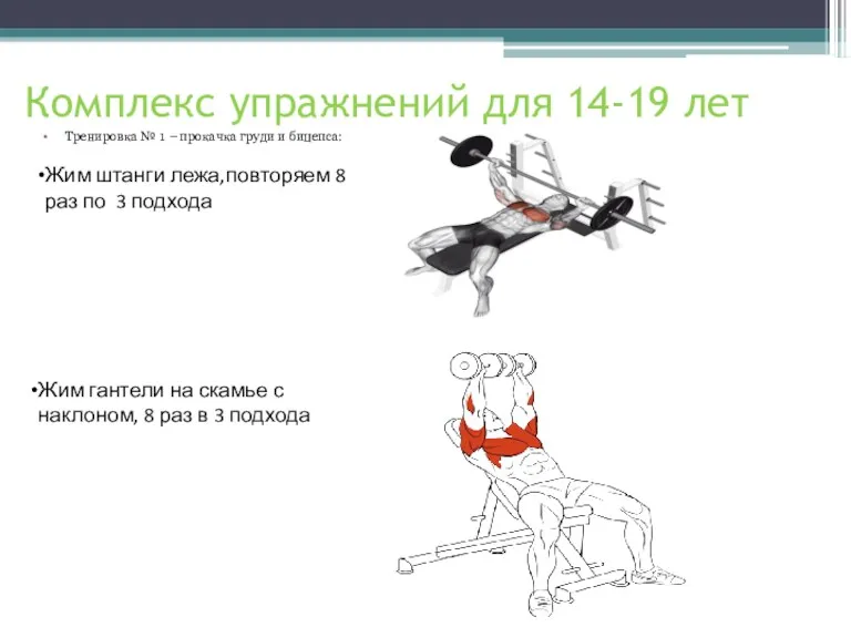 Комплекс упражнений для 14-19 лет Тренировка № 1 – прокачка