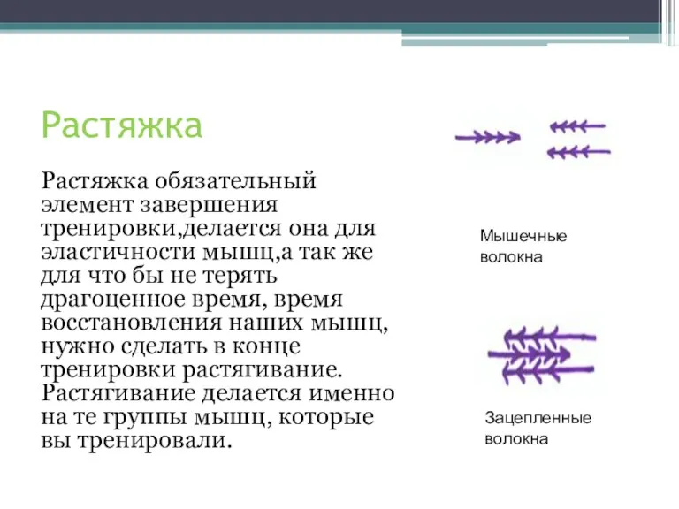 Растяжка Растяжка обязательный элемент завершения тренировки,делается она для эластичности мышц,а