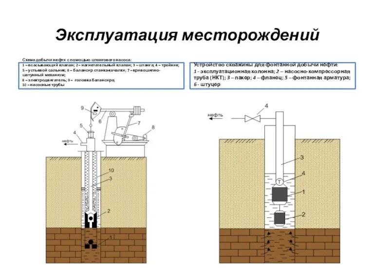 Эксплуатация месторождений Схема добычи нефти с помощью штангового насоса: 1