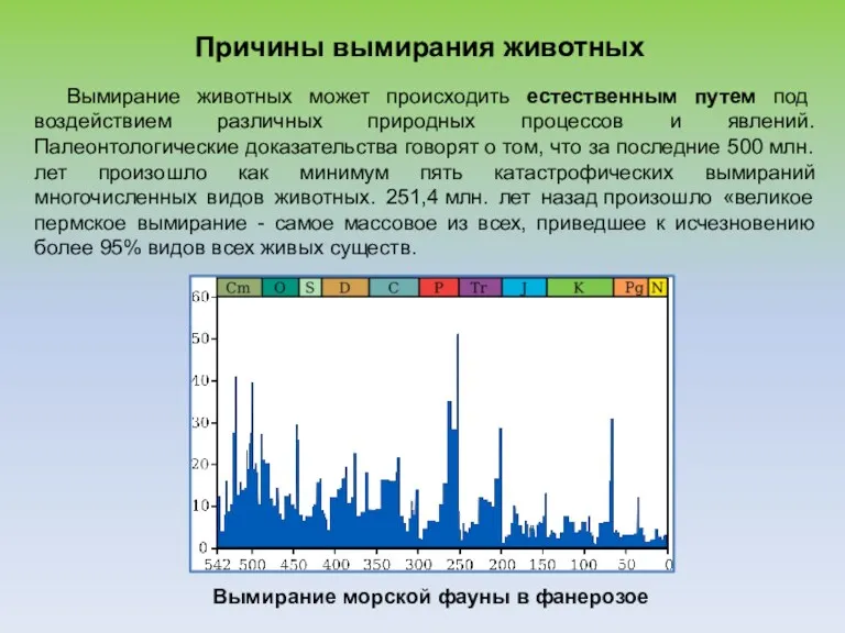 Причины вымирания животных Вымирание морской фауны в фанерозое Вымирание животных