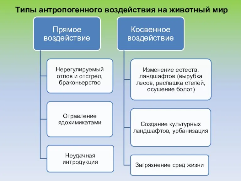 Типы антропогенного воздействия на животный мир