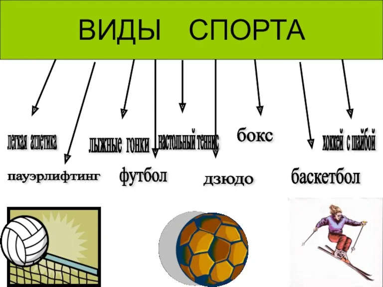 ВИДЫ СПОРТА легкая атлетика лыжные гонки пауэрлифтинг футбол бокс баскетбол дзюдо хоккей с шайбой настольный теннис