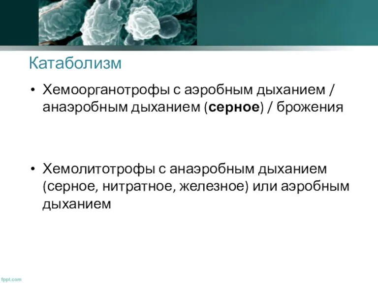 Катаболизм Хемоорганотрофы с аэробным дыханием / анаэробным дыханием (серное) /