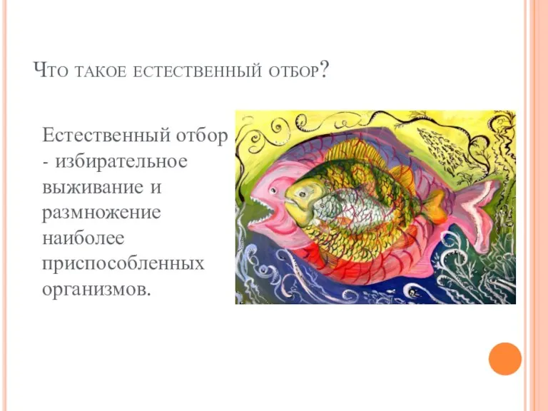 Что такое естественный отбор? Естественный отбор - избирательное выживание и размножение наиболее приспособленных организмов.