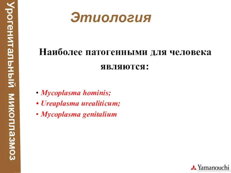 Урогенитальный микоплазмоз Этиология Наиболее патогенными для человека являются: Mycoplasma hominis; Ureaplasma urealiticum; Mycoplasma genitalium