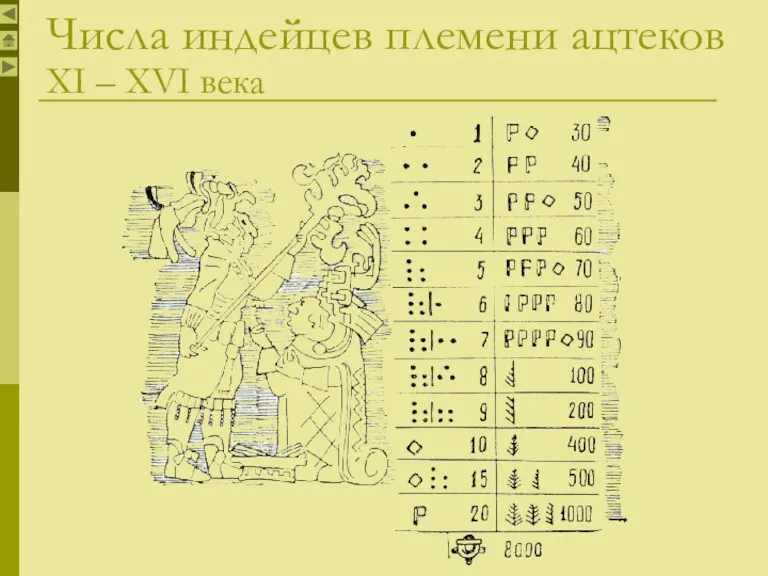 Числа индейцев племени ацтеков XI – XVI века