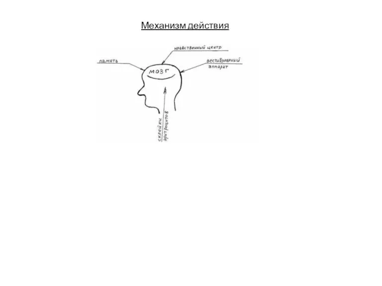 Механизм действия