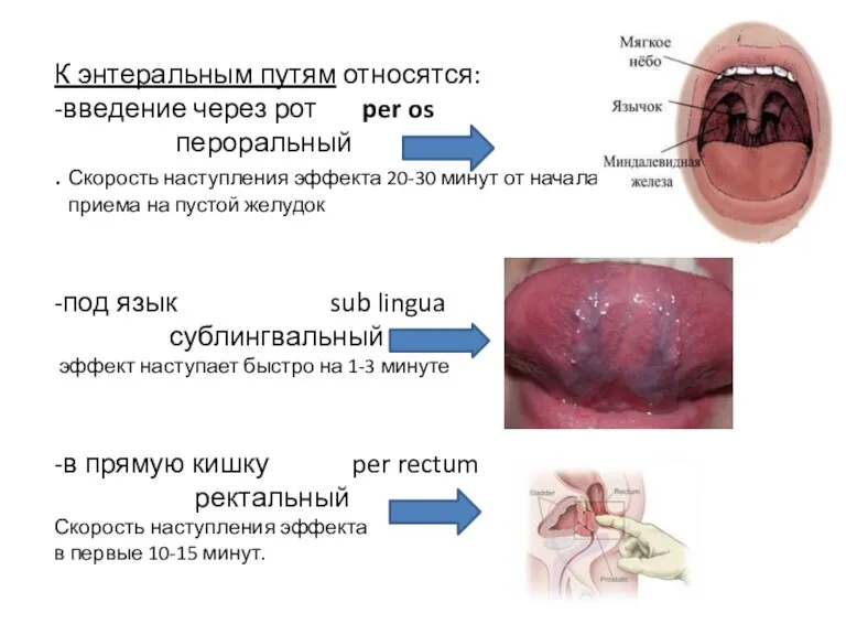 К энтеральным путям относятся: -введение через рот per os пероральный