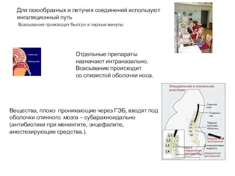 Для газообразных и летучих соединений используют ингаляционный путь Всасывание происходит