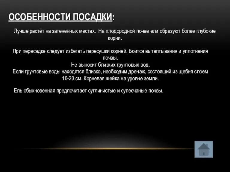 ОСОБЕННОСТИ ПОСАДКИ: Лучше растёт на затененных местах. На плодородной почве