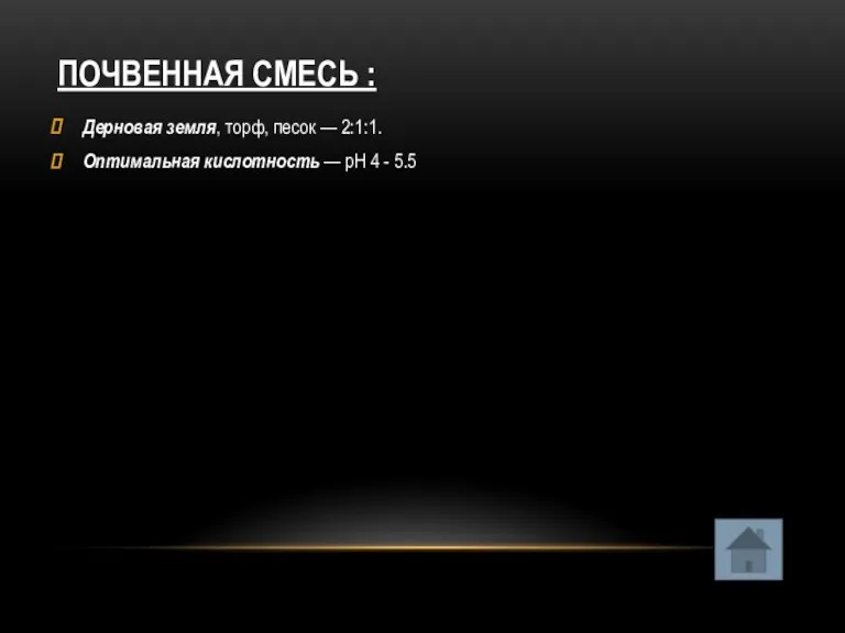 ПОЧВЕННАЯ СМЕСЬ : Дерновая земля, торф, песок — 2:1:1. Оптимальная кислотность — pH 4 - 5.5