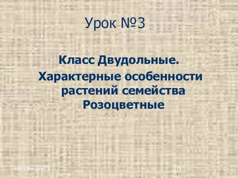 08/06/2023 Урок №3 Класс Двудольные. Характерные особенности растений семейства Розоцветные