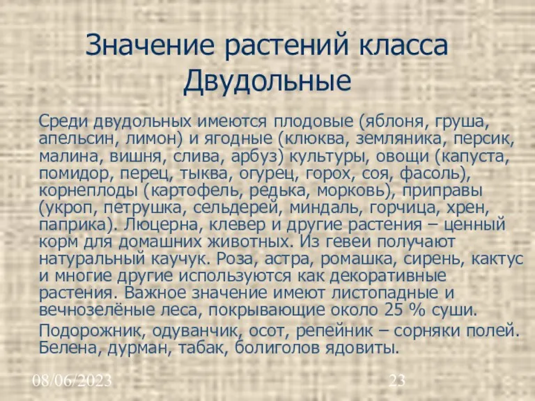 08/06/2023 Значение растений класса Двудольные Среди двудольных имеются плодовые (яблоня,