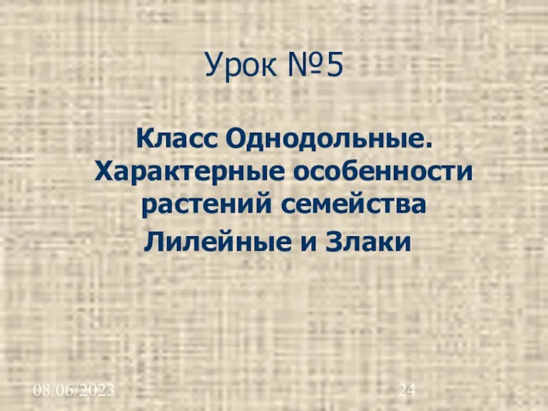 08/06/2023 Урок №5 Класс Однодольные. Характерные особенности растений семейства Лилейные и Злаки