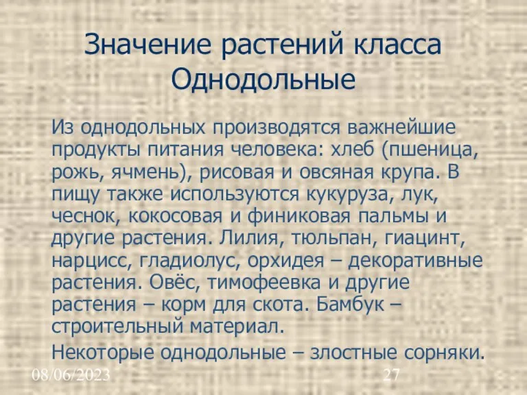 08/06/2023 Значение растений класса Однодольные Из однодольных производятся важнейшие продукты