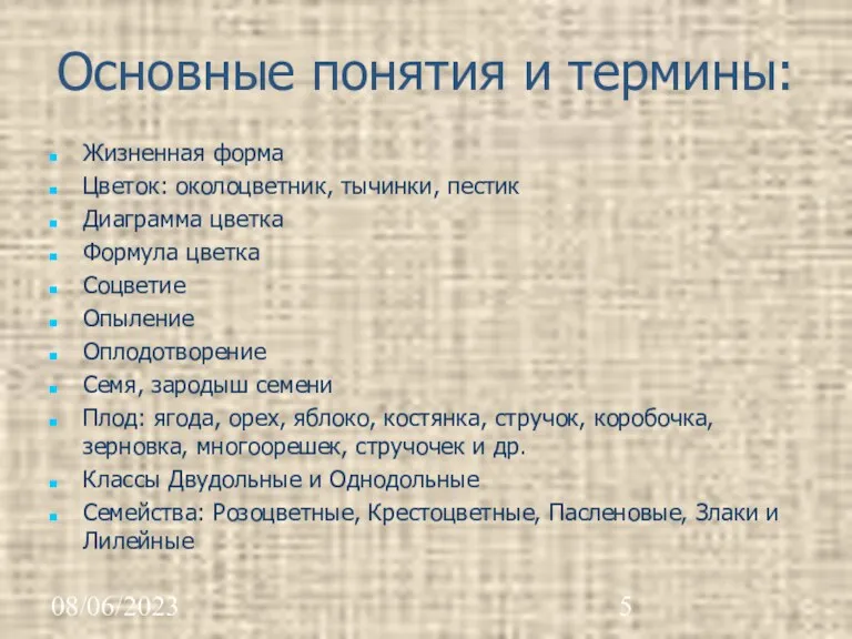 08/06/2023 Основные понятия и термины: Жизненная форма Цветок: околоцветник, тычинки,