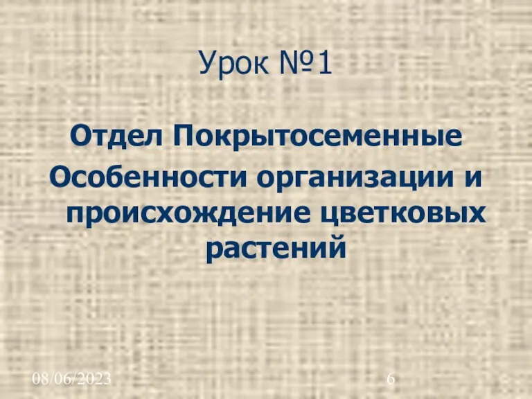 08/06/2023 Урок №1 Отдел Покрытосеменные Особенности организации и происхождение цветковых растений