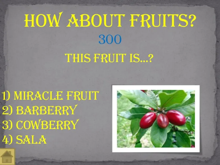 This fruit is…? How About fruits? 300 2) Barberry 3) Cowberry 4) sala 1) Miracle fruit