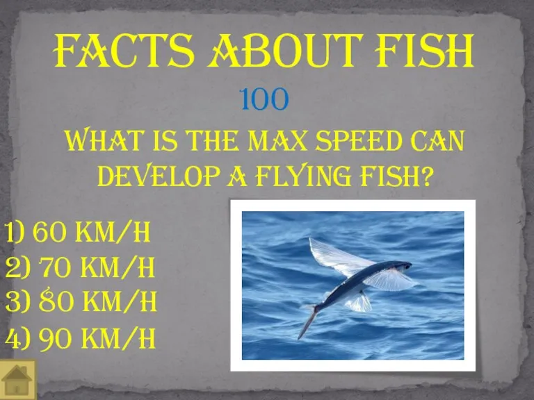What is the max speed can develop a flying fish? Facts about fish
