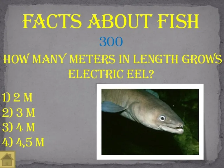how many meters in length grows electric eel? Facts about fish 300 1)